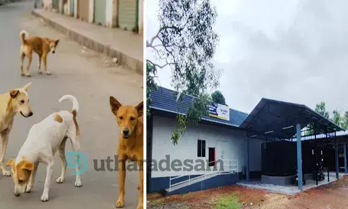 ആദ്യഘട്ടത്തില് പിടികൂടിയത് 23 തെരുവുനായകളെ; സജീവമായി മുളിയാര് എ.ബി.സി കേന്ദ്രം ആദ്യഘട്ടത്തില് പിടികൂടിയത് 23 തെരുവുനായകളെ; സജീവമായി മുളിയാര് എ.ബി.സി കേന്ദ്രം