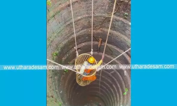കിണറില് വീണ കോഴികളെ അഗ്നിശമന വിഭാഗം രക്ഷപ്പെടുത്തി കിണറില് വീണ കോഴികളെ അഗ്നിശമന വിഭാഗം രക്ഷപ്പെടുത്തി