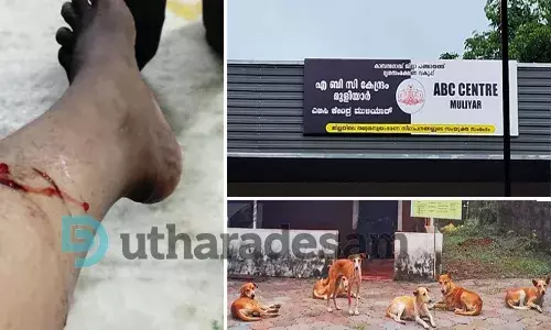 ജില്ലയില് തെരുവുനായ ആക്രമണം കൂടുന്നു; നടപടിയെടുക്കാനാവാതെ എ.ബി.സി സെന്ററിന് അനുമതി കാത്ത് അധികൃതര് ജില്ലയില് തെരുവുനായ ആക്രമണം കൂടുന്നു; നടപടിയെടുക്കാനാവാതെ എ.ബി.സി സെന്ററിന് അനുമതി കാത്ത് അധികൃതര്