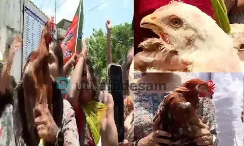 രാഹുല് മാങ്കൂട്ടത്തിലിന്റെ ഓഫീസിലേക്ക് കോഴികളുമായി മാര്ച്ച് രാഹുല് മാങ്കൂട്ടത്തിലിന്റെ ഓഫീസിലേക്ക് കോഴികളുമായി മാര്ച്ച്