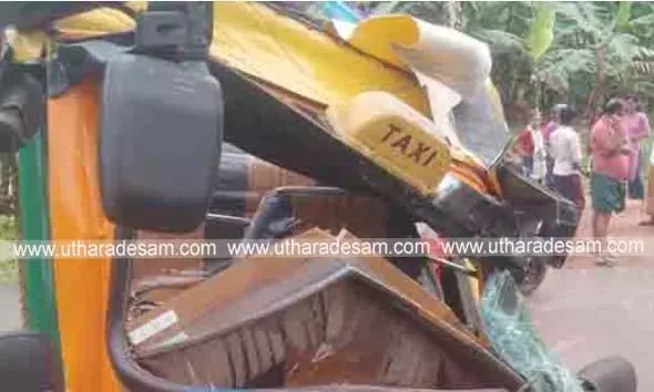 ഓട്ടോറിക്ഷ നിയന്ത്രണം വിട്ട് മറിഞ്ഞ് യാത്രക്കാരന്‍ മരിച്ചു; ഡ്രൈവര്‍ ഉള്‍പ്പെടെ 3 പേര്‍ക്ക് പരിക്കേറ്റു