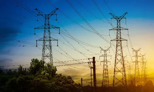 വര്ധിക്കുന്ന വൈദ്യുതി അപകടങ്ങള്; എ.ബി.സി പദ്ധതി മന്ദഗതിയില് വര്ധിക്കുന്ന വൈദ്യുതി അപകടങ്ങള്; എ.ബി.സി പദ്ധതി മന്ദഗതിയില്