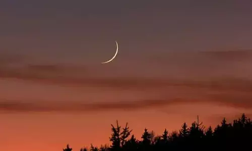 നബിദിനം: ദുബായില്‍ സര്‍ക്കാര്‍ സ്ഥാപനങ്ങള്‍ക്ക് അവധി പ്രഖ്യാപിച്ചു