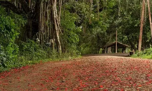 അത്ഭുത കാഴ്ചകളുമായി കര്‍ണാടകയിലെ നാഗര്‍ഹോള ദേശീയോദ്യാനത്തിലെ വന്യജീവി സങ്കേതം