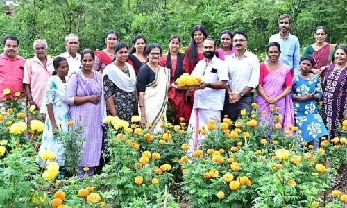മറുനാടനോട് കിടപിടിക്കാന് പരപ്പ ബ്ലോക്കിന്റെ ചെണ്ടുമല്ലിയും വിപണിയില് മറുനാടനോട് കിടപിടിക്കാന് പരപ്പ ബ്ലോക്കിന്റെ ചെണ്ടുമല്ലിയും വിപണിയില്