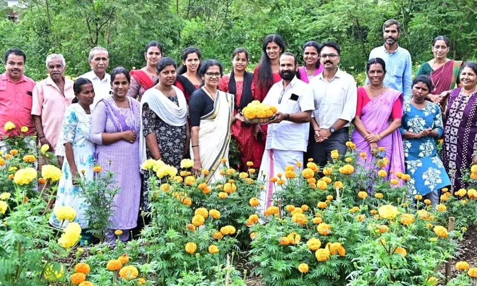 മറുനാടനോട് കിടപിടിക്കാന് പരപ്പ ബ്ലോക്കിന്റെ ചെണ്ടുമല്ലിയും വിപണിയില് മറുനാടനോട് കിടപിടിക്കാന് പരപ്പ ബ്ലോക്കിന്റെ ചെണ്ടുമല്ലിയും വിപണിയില്