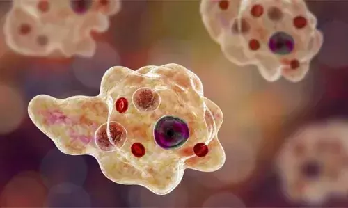 അമീബിക് മസ്തിഷ്‌ക ജ്വരം; സംസ്ഥാനത്ത് ഒരു മരണം കൂടി; മരിച്ചത് ചികിത്സയില്‍ കഴിഞ്ഞിരുന്ന ബത്തേരി സ്വദേശി