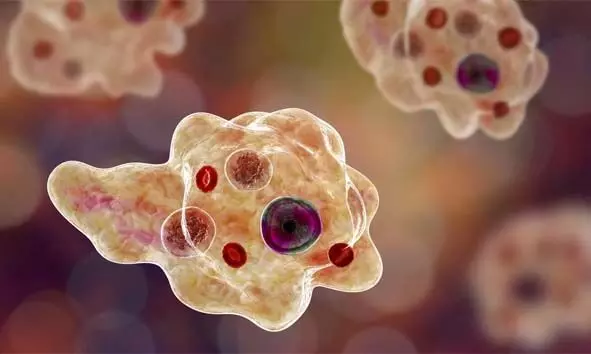 അമീബിക് മസ്തിഷ്ക ജ്വരം; സംസ്ഥാനത്ത് ഒരു മരണം കൂടി; മരിച്ചത് ചികിത്സയില് കഴിഞ്ഞിരുന്ന ബത്തേരി സ്വദേശി അമീബിക് മസ്തിഷ്ക ജ്വരം; സംസ്ഥാനത്ത് ഒരു മരണം കൂടി; മരിച്ചത് ചികിത്സയില് കഴിഞ്ഞിരുന്ന ബത്തേരി സ്വദേശി