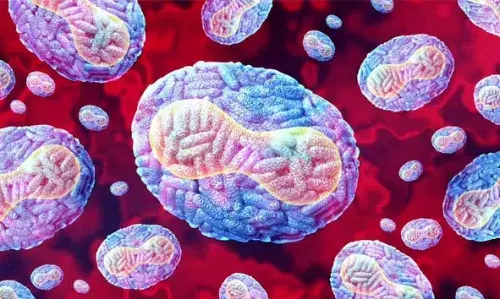 അമീബിക് മസ്തിഷ്‌ക ജ്വരം: ചികിത്സയിലായിരുന്ന മലപ്പുറം സ്വദേശിനിയും മരിച്ചു