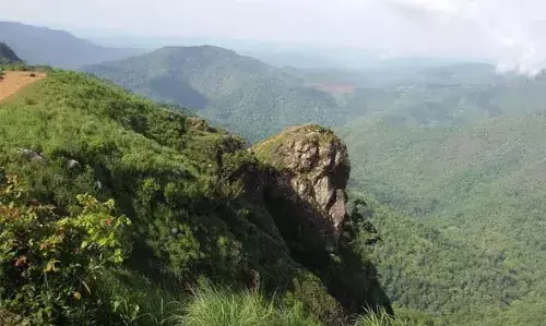 പച്ചപ്പ് നിറഞ്ഞ വനങ്ങളുടെ മനോഹരമായ കാഴ്ച, ട്രെക്കിംഗ് പ്രേമികള്ക്കും പ്രകൃതി സ്നേഹികള്ക്കും പ്രിയപ്പെട്ട സ്ഥലം; പരുന്തുംപാറ പച്ചപ്പ് നിറഞ്ഞ വനങ്ങളുടെ മനോഹരമായ കാഴ്ച, ട്രെക്കിംഗ് പ്രേമികള്ക്കും പ്രകൃതി സ്നേഹികള്ക്കും പ്രിയപ്പെട്ട സ്ഥലം; പരുന്തുംപാറ