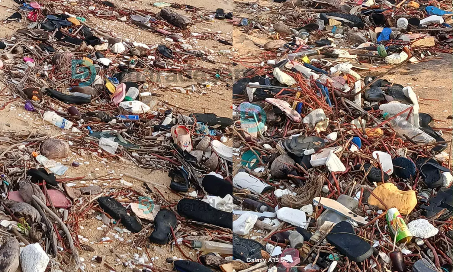 ഉദുമയില്‍ കടലോരം മാലിന്യതീരമായി;തീരദേശവാസികളും സഞ്ചാരികളും ദുരിതത്തില്‍