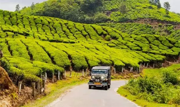 നിങ്ങളുടെ അടുത്ത അവധിക്കാലം വാഗമണിലേക്കാകട്ടെ; സന്ദര്‍ശിക്കാന്‍ പറ്റിയ സ്വപ്നതുല്യമായ സ്ഥലങ്ങള്‍ ഇതാ!