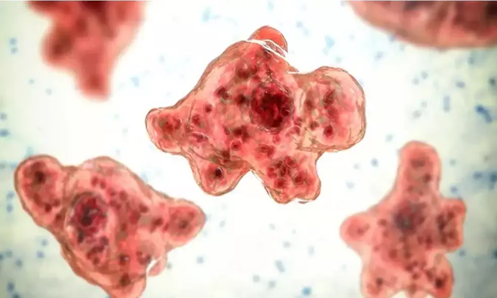 അമീബിക് മസ്തിഷ്‌കജ്വരം: ജില്ലയില്‍ പ്രതിരോധ പ്രവര്‍ത്തനങ്ങള്‍ ഊര്‍ജിതമാക്കും