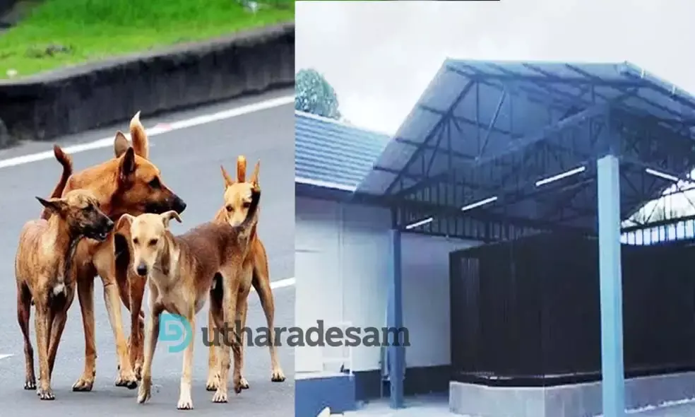 മുളിയാര്‍ എ.ബി.സി കേന്ദ്രം; പിടികൂടുന്ന തെരുവുനായകളുടെ എണ്ണം കുറയ്ക്കും