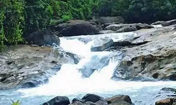 ശാന്തതയും പ്രകൃതി സൗന്ദര്യവും ഒരുപോലെ ആസ്വദിക്കാം; അരിപ്പാറ വെള്ളച്ചാട്ടത്തിലൂടെ ഒരു യാത്ര