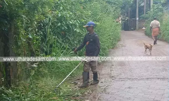 പഞ്ചായത്ത് മുഖം തിരിച്ചു; റോഡരികിലെ കാടുകള്‍ വെട്ടിത്തെളിച്ച് മനോജ് മാതൃകയായി