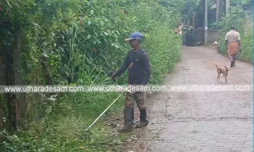 പഞ്ചായത്ത് മുഖം തിരിച്ചു; റോഡരികിലെ കാടുകള് വെട്ടിത്തെളിച്ച് മനോജ് മാതൃകയായി പഞ്ചായത്ത് മുഖം തിരിച്ചു; റോഡരികിലെ കാടുകള് വെട്ടിത്തെളിച്ച് മനോജ് മാതൃകയായി