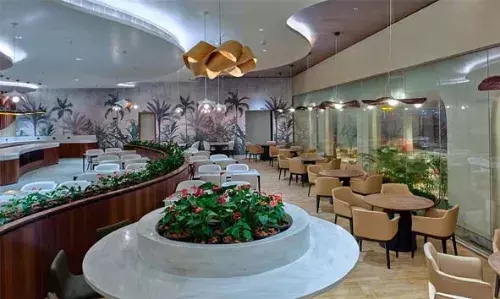 ഒരു വര്ഷം കൊണ്ട് 25000 പേര്ക്ക് ആതിഥ്യമൊരുക്കി കൊച്ചി വിമാനത്താവളത്തിലെ 0484 എയ്റോ ലോഞ്ച്; ഇതുവരെ നടന്നത് 12000 ബുക്കിങ്ങ് ഒരു വര്ഷം കൊണ്ട് 25000 പേര്ക്ക് ആതിഥ്യമൊരുക്കി കൊച്ചി വിമാനത്താവളത്തിലെ 0484 എയ്റോ ലോഞ്ച്; ഇതുവരെ നടന്നത് 12000 ബുക്കിങ്ങ്