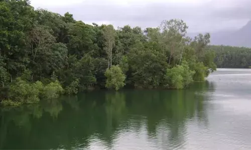 തേയിലത്തോട്ടങ്ങള്, പച്ചപ്പ് നിറഞ്ഞ കുന്നുകള്, താഴ്വരകള്, വെള്ളച്ചാട്ടങ്ങള്, അരുവികള് എന്നിവയാല് ചുറ്റപ്പെട്ട പ്രദേശം; പൊന്മുടിയിലേക്ക് ഒരു യാത്ര പോയാലോ തേയിലത്തോട്ടങ്ങള്, പച്ചപ്പ് നിറഞ്ഞ കുന്നുകള്, താഴ്വരകള്, വെള്ളച്ചാട്ടങ്ങള്, അരുവികള് എന്നിവയാല് ചുറ്റപ്പെട്ട പ്രദേശം; പൊന്മുടിയിലേക്ക് ഒരു യാത്ര പോയാലോ