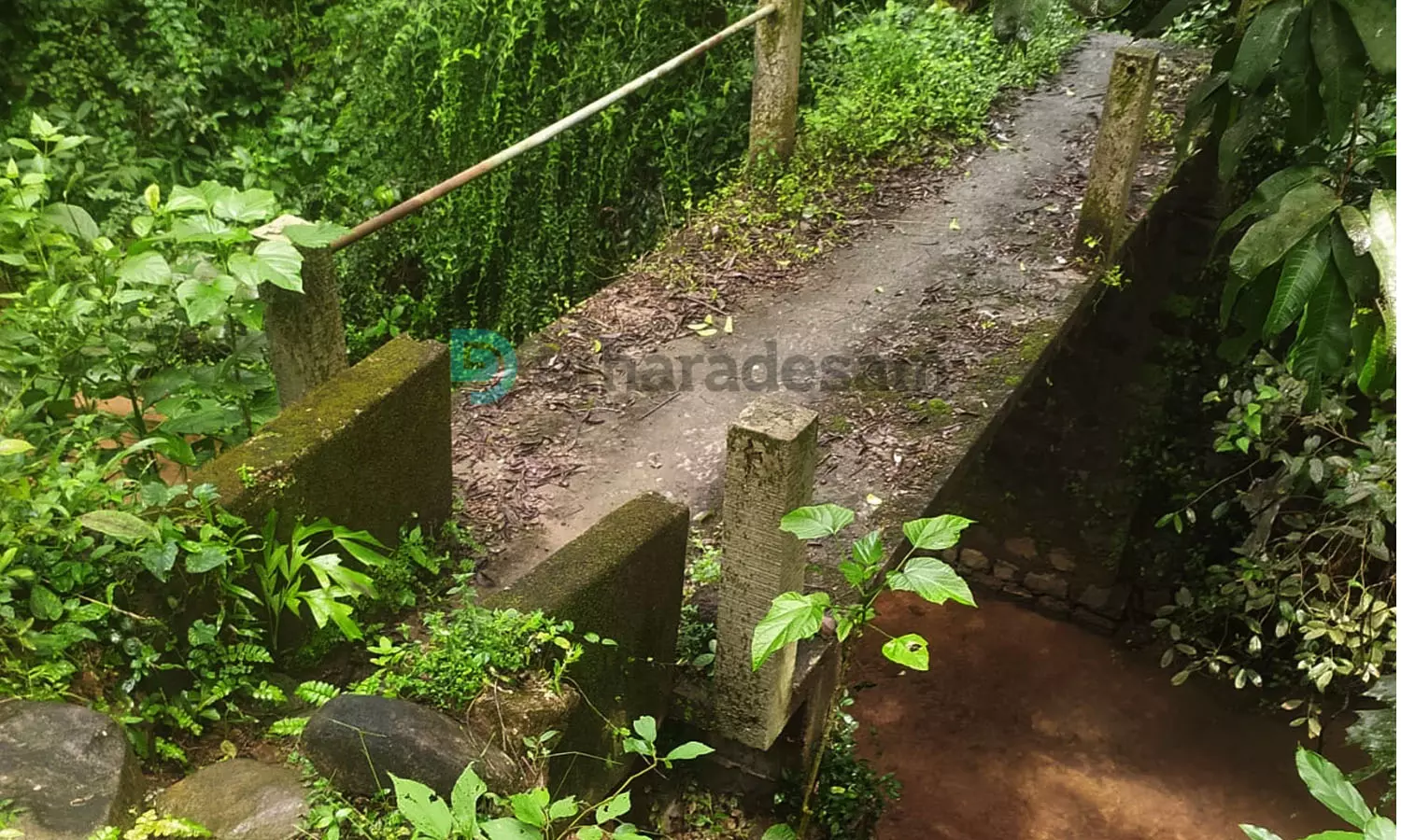 പാലത്തിന്റെ തൂണുകള്‍ക്ക് ബലക്ഷയം; ഏവിഞ്ച നടപ്പാലം അപകടാവസ്ഥയില്‍