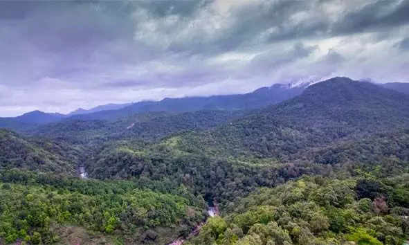 സൈലന്റ് വാലി ദേശീയോദ്യാനം; മനോഹരമായ സസ്യജന്തു ജാലങ്ങളുടെ ആവാസ കേന്ദ്രം