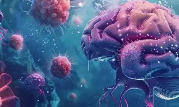 കാസര്‍കോട്ടെ ആറുവയസുകാരന്‍ ഉള്‍പ്പെടെ രണ്ട് കുട്ടികള്‍ക്ക് കൂടി അമീബിക് മസ്തിഷ്‌കജ്വരം സ്ഥിരീകരിച്ചു