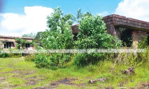 പാതിവഴിയില് നിലച്ച ലൈഫ് ഭവന പദ്ധതിയിലെ വീടുകള് കാട് കയറി നശിക്കുന്നു പാതിവഴിയില് നിലച്ച ലൈഫ് ഭവന പദ്ധതിയിലെ വീടുകള് കാട് കയറി നശിക്കുന്നു