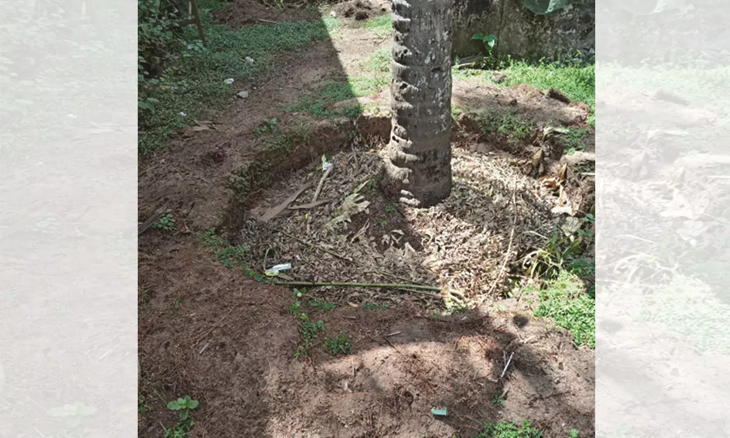 തെങ്ങിന് തടമെടുക്കല്‍ തൊഴിലുറപ്പില്‍ നിന്ന് ഔട്ട്