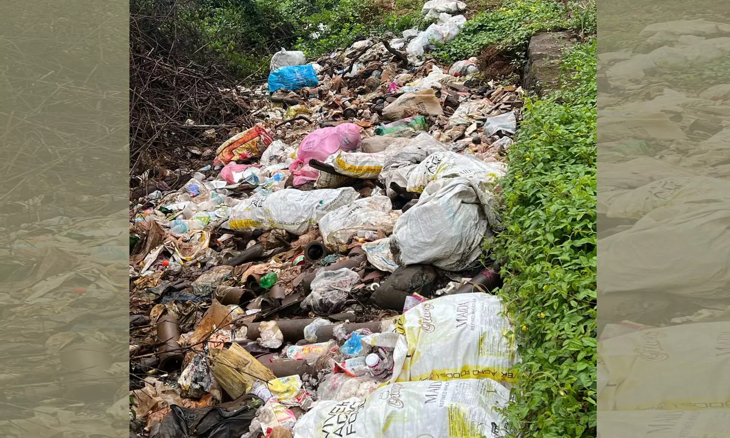 മൊഗ്രാല്‍ പുഴയിലെ ജലാശയത്തിലും  കടലോരത്തും വ്യാപകമായി മാലിന്യം തള്ളുന്നു