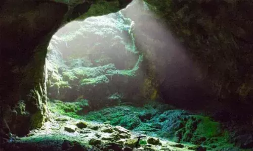 കൊടൈക്കനാലിലെ മൂടല്മഞ്ഞ് നിറഞ്ഞ നിബിഡ വനങ്ങള്ക്കിടയിലൂടെ ഗുണ ഗുഹകളിലേക്ക് ഒരു യാത്രയായാലോ? കൊടൈക്കനാലിലെ മൂടല്മഞ്ഞ് നിറഞ്ഞ നിബിഡ വനങ്ങള്ക്കിടയിലൂടെ ഗുണ ഗുഹകളിലേക്ക് ഒരു യാത്രയായാലോ?