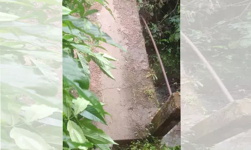 നെല്ലിക്കുഞ്ച നടപ്പാലം തകര്ന്നു; നാട്ടുകാര്ക്ക് യാത്രാദുരിതം നെല്ലിക്കുഞ്ച നടപ്പാലം തകര്ന്നു; നാട്ടുകാര്ക്ക് യാത്രാദുരിതം