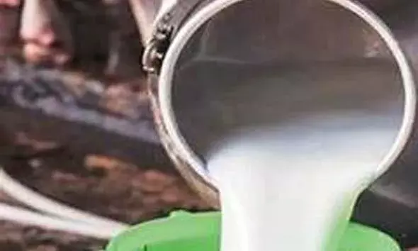 സംസ്ഥാനത്ത് പാല്‍ വില കൂട്ടാന്‍ തീരുമാനം; വര്‍ധനവ് തദ്ദേശ തിരഞ്ഞെടുപ്പിന് ശേഷം