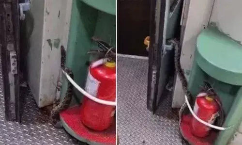 ആന്ഡമാന് എക്സ്പ്രസ് കോച്ചിലെ ചവറ്റുകുട്ടയില് നിന്നും പെരുമ്പാമ്പ് പുറത്തേക്ക്; പരിഭ്രാന്തരായി യാത്രക്കാര് ആന്ഡമാന് എക്സ്പ്രസ് കോച്ചിലെ ചവറ്റുകുട്ടയില് നിന്നും പെരുമ്പാമ്പ് പുറത്തേക്ക്; പരിഭ്രാന്തരായി യാത്രക്കാര്