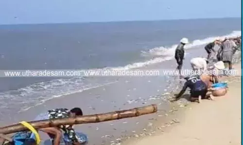 കാഞ്ഞങ്ങാട്ടും കരയിലേക്ക് മത്സ്യക്കൂട്ടം ഒഴുകിയെത്തി; പ്രദേശവാസികള്ക്ക് ചാകര കാഞ്ഞങ്ങാട്ടും കരയിലേക്ക് മത്സ്യക്കൂട്ടം ഒഴുകിയെത്തി; പ്രദേശവാസികള്ക്ക് ചാകര