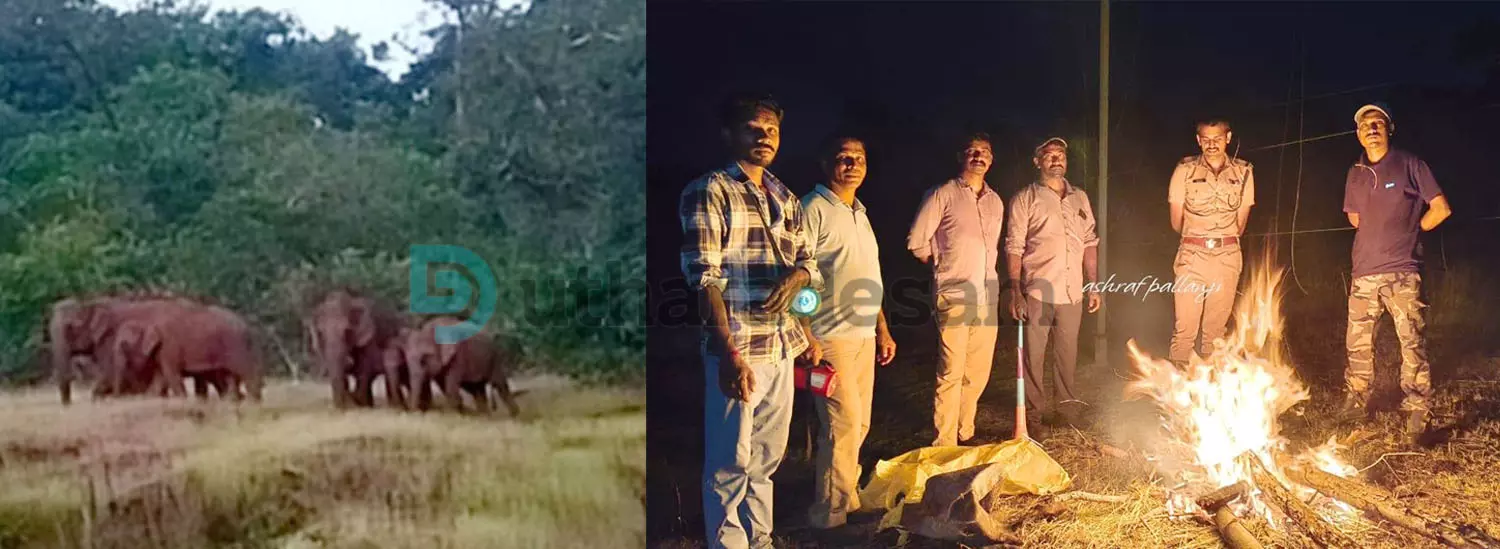 പുലിപ്പറമ്പില്‍ ഭീതി വിതച്ച് കാട്ടാനക്കൂട്ടം; ജാഗ്രതയോടെ വനം വകുപ്പ്