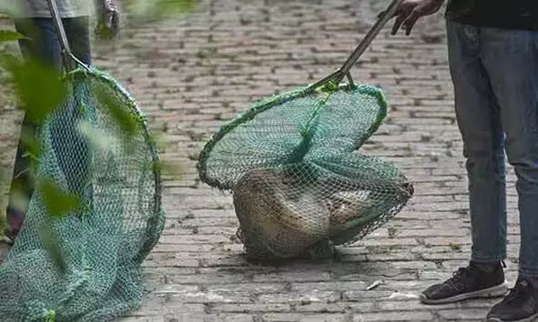 സ്കൂളുകള്, ആശുപത്രികള്, പൊതുഗതാഗത കേന്ദ്രങ്ങള് എന്നിവിടങ്ങളില് നിന്ന് തെരുവ് നായ്ക്കളെ നീക്കം ചെയ്യാന് ഉത്തരവിട്ട് സുപ്രീം കോടതി സ്കൂളുകള്, ആശുപത്രികള്, പൊതുഗതാഗത കേന്ദ്രങ്ങള് എന്നിവിടങ്ങളില് നിന്ന് തെരുവ് നായ്ക്കളെ നീക്കം ചെയ്യാന് ഉത്തരവിട്ട് സുപ്രീം കോടതി