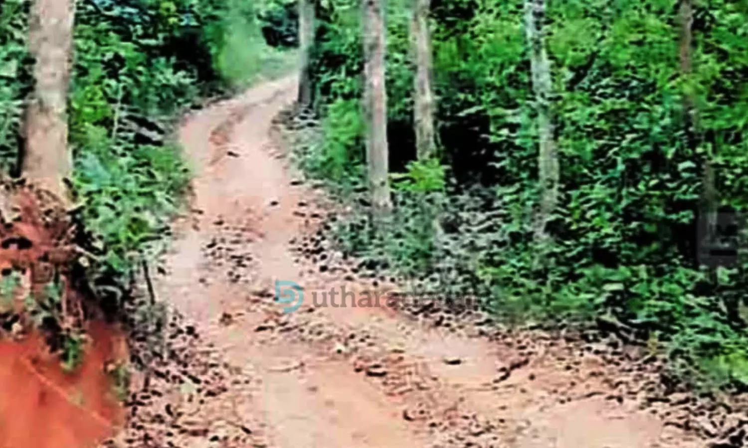 കുട്ടിയാനം-പാണ്ടിക്കണ്ടം റോഡ്   തകര്‍ന്ന് തന്നെ; നന്നാക്കാന്‍ നടപടിയില്ല