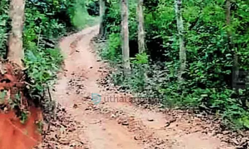 കുട്ടിയാനം-പാണ്ടിക്കണ്ടം റോഡ്   തകര്‍ന്ന് തന്നെ; നന്നാക്കാന്‍ നടപടിയില്ല