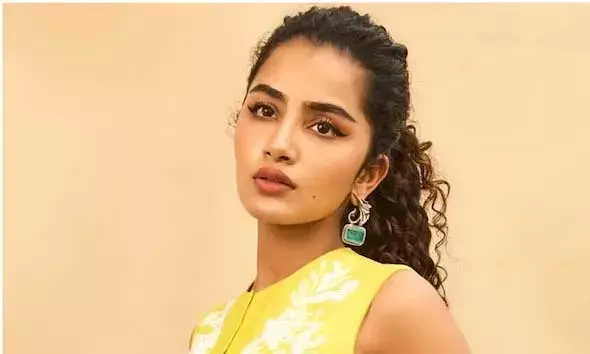 തന്റെ മോര്‍ഫ് ചെയ്ത ചിത്രങ്ങള്‍ സമൂഹമാധ്യമങ്ങളിലൂടെ പ്രചരിപ്പിച്ചതിന് പിന്നില്‍ ആ 20 കാരി; വെളിപ്പെടുത്തലുമായി അനുപമ പരമേശ്വരന്‍