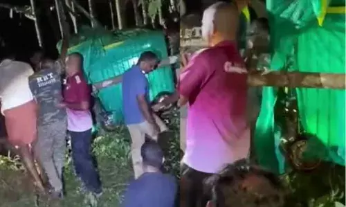 പുല്ലൂര്‍ കൊടവലത്ത് കുളത്തില്‍ വീണ പുലിയെ വനപാലകര്‍ കൂട്ടിലാക്കി