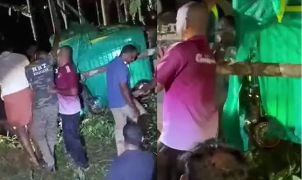 പുല്ലൂര്‍ കൊടവലത്ത് കുളത്തില്‍ വീണ പുലിയെ വനപാലകര്‍ കൂട്ടിലാക്കി