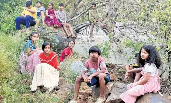 രാമേശ്വരം ഇന്റര്‍നാഷണല്‍ ഫിലിം ഫെസ്റ്റിവല്‍: പച്ചത്തെയ്യം മികച്ച സിനിമ