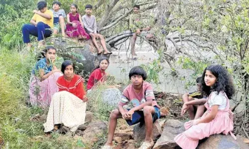 രാമേശ്വരം ഇന്റര്‍നാഷണല്‍ ഫിലിം ഫെസ്റ്റിവല്‍: പച്ചത്തെയ്യം മികച്ച സിനിമ