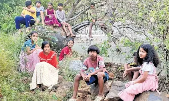 രാമേശ്വരം ഇന്റര്നാഷണല് ഫിലിം ഫെസ്റ്റിവല്: പച്ചത്തെയ്യം മികച്ച സിനിമ രാമേശ്വരം ഇന്റര്നാഷണല് ഫിലിം ഫെസ്റ്റിവല്: പച്ചത്തെയ്യം മികച്ച സിനിമ