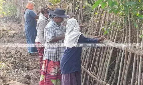 ചെങ്കല്ല് വില വര്‍ദ്ധന; അന്യം നിന്ന ജൈവവേലി വീണ്ടും സ്ഥാനം പിടിക്കുന്നു