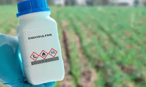 എന്‍ഡോസള്‍ഫാന്റെ നൂറുകണക്കിന് ബാരലുകള്‍ കാണാതായി ; വിശദറിപ്പോര്‍ട്ട് നല്‍കണമെന്ന് ഹരിത ട്രൈബ്യൂണല്‍