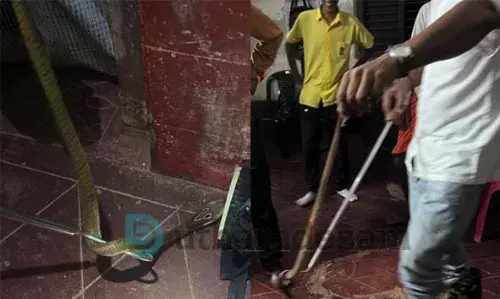 സ്ഥാനാര്‍ത്ഥിയുടെ വീട്ടില്‍ നിന്ന് പാമ്പിനെ പിടികൂടി