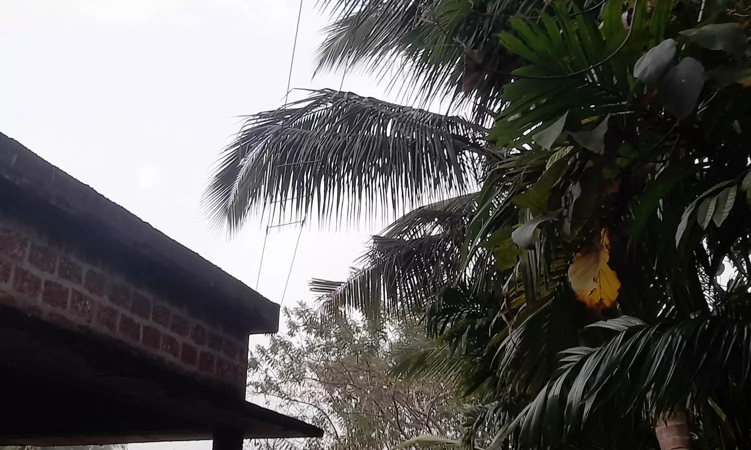 ബിര്‍മ്മിനടുക്കയില്‍ വീടിന് സമീപം കടന്നുപോകുന്ന വൈദ്യുതി ലൈന്‍ അപകട ഭീഷണിയാവുന്നു