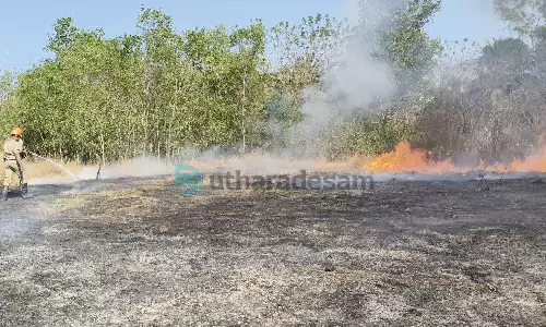 പെട്രോള് പമ്പിന് സമീപത്തെ പറമ്പില് തീപിടിത്തം പെട്രോള് പമ്പിന് സമീപത്തെ പറമ്പില് തീപിടിത്തം