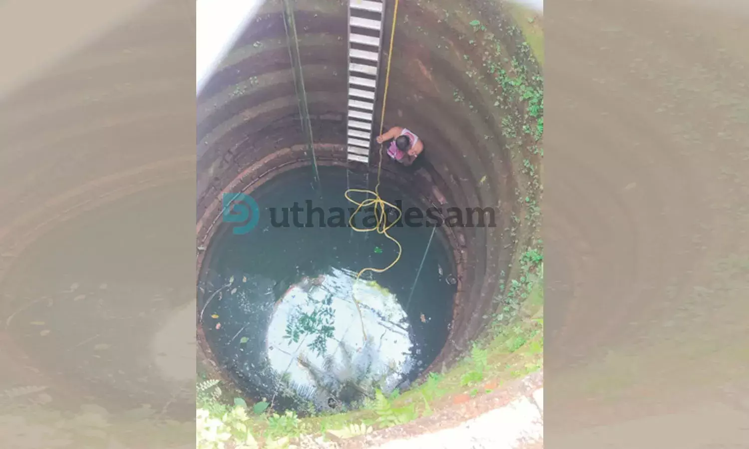 തേങ്ങ എടുക്കാന്‍ കിണറ്റില്‍ ഇറങ്ങിയ ആള്‍ കയര്‍ വഴുതി വീണു; അഗ്‌നിരക്ഷാസേന പുറത്തെടുത്തു